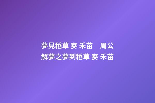 夢見稻草 麥 禾苗　周公解夢之夢到稻草 麥 禾苗